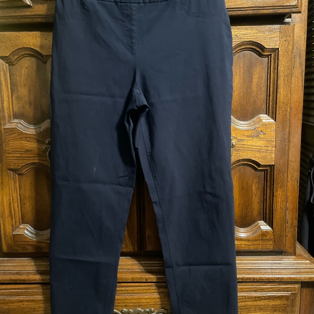 Slimsation By Multiples Navy Ankle Pants
